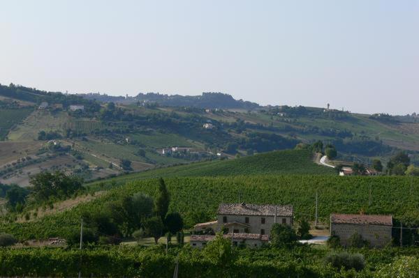 Cascinale La Mimosa Bed & Breakfast Cupramontana Exterior photo